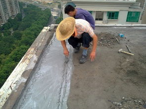 韶關(guān)市樂昌市穗興清洗外墻與防水補(bǔ)漏工程公司及南京防水工程服務(wù)綜述